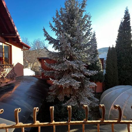 Anadi Hotel Boutique Only Adult Brașov Exterior foto
